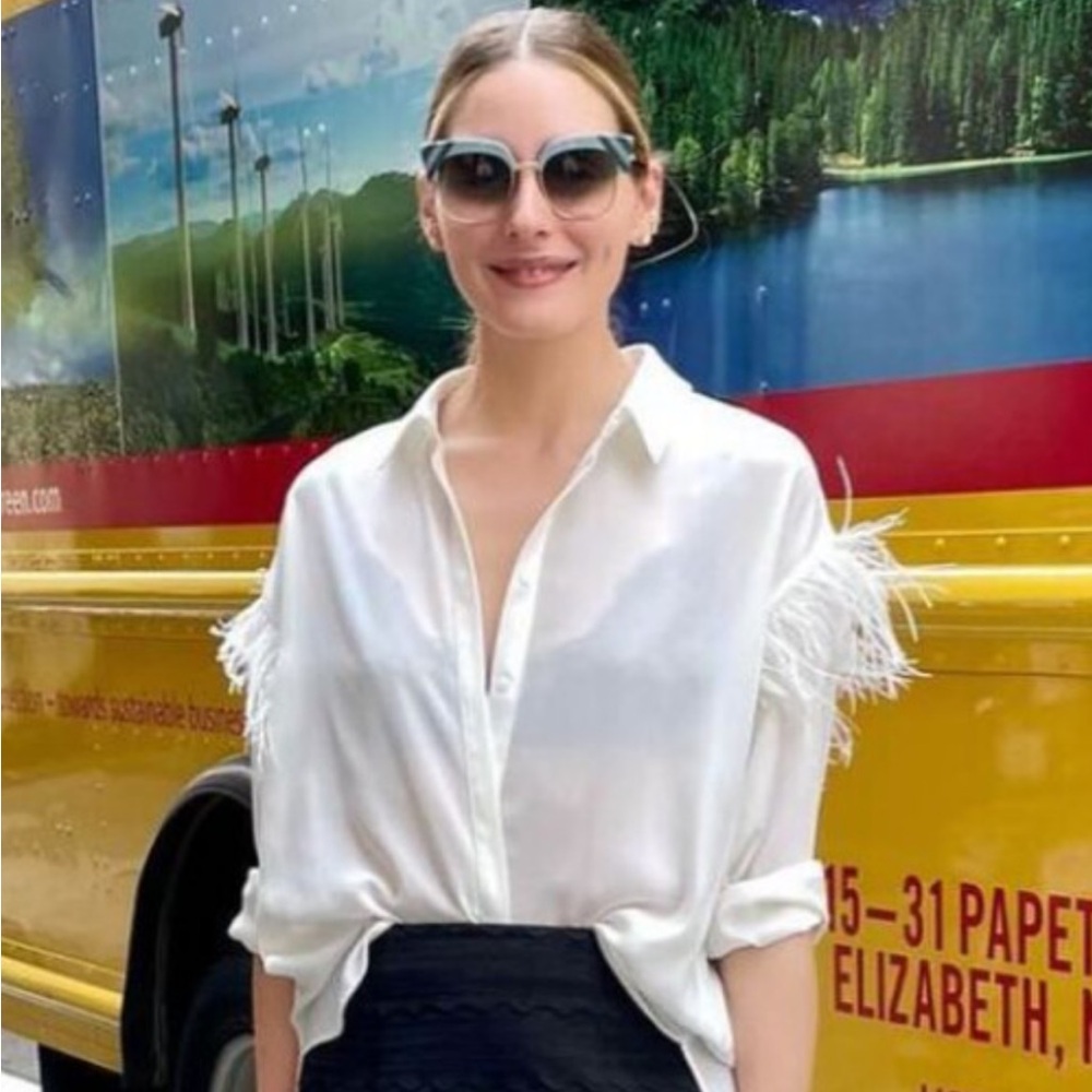 Zara feather blouse
